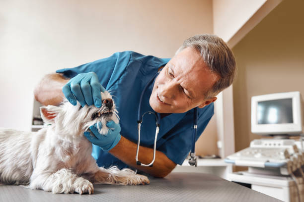 Best Emergency Tooth Extraction  in St Georges, DE